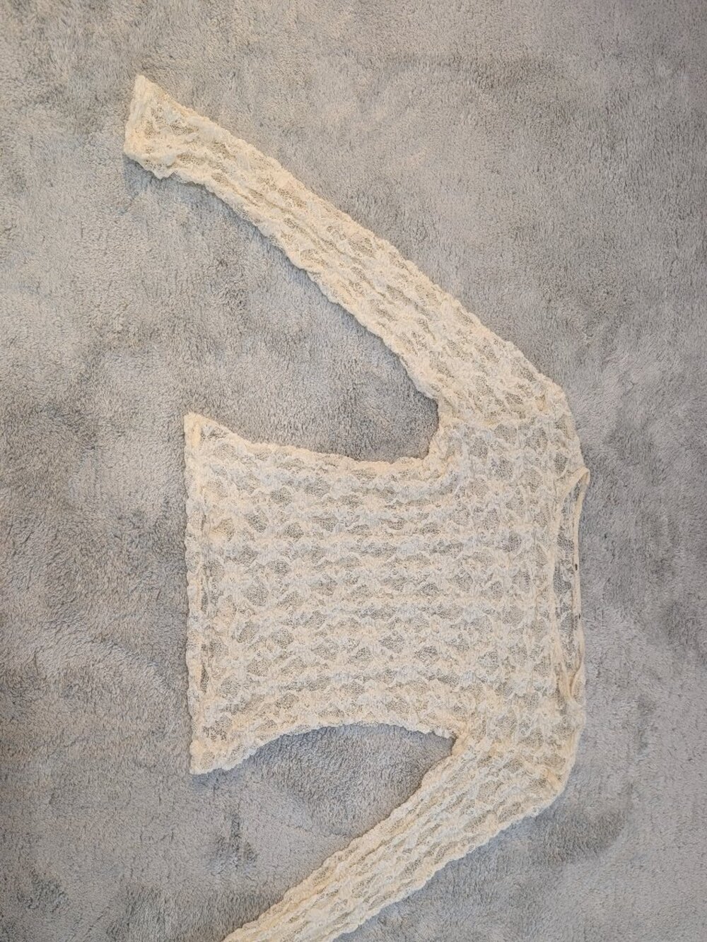Zara Long-Sleeve Semi-Sheer Lace Top